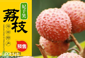 妃子笑荔枝多少錢一斤？2017妃子笑荔枝價格
