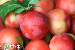 ?楊梅和李子能一起吃嗎？楊梅和李子一起吃會(huì)中毒嗎？