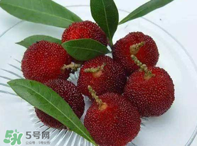 楊梅籽可以吃嗎？吃楊梅籽有什么好處？