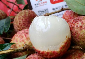 白糖罌荔枝怎樣保果的？白糖罌荔枝和白蠟的區(qū)別