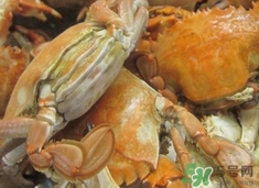 花蓋蟹死了能吃嗎？花蓋蟹死多久之內(nèi)能吃？