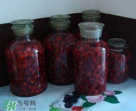 泡楊梅酒用什么瓶子？楊梅酒可以用塑料瓶泡嗎？