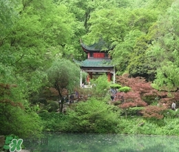 7月份去長(zhǎng)沙穿什么？七月份去長(zhǎng)沙穿什么衣服