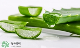 蘆薈面膜要敷多久？蘆薈面膜多久敷一次