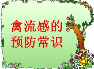 6月有禽流感嗎？2017年6月有禽流感嗎？