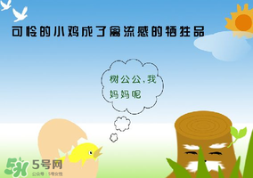 6月有禽流感嗎？2017年6月有禽流感嗎？