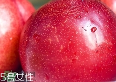 桃駁李是轉(zhuǎn)基因嗎？桃駁李是不是轉(zhuǎn)基因