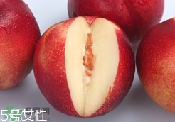 桃駁李是油桃嗎？桃駁李和油桃的區(qū)別