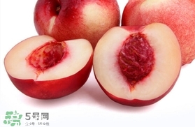 桃駁李是油桃嗎？桃駁李和油桃的區(qū)別