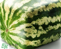 方形西瓜是如何種出來(lái)的？方形西瓜是怎么長(zhǎng)成的