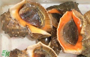 海螺是發(fā)物嗎？海螺是不是發(fā)物