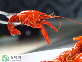 潛江小龍蝦有什么特色？潛江龍蝦節(jié)是每年什么時(shí)候？ 