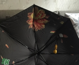 蕉下小黑傘能遮雨嗎？蕉下太陽傘能淋雨嗎？