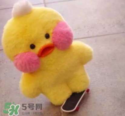 玻尿酸鴨哪里可以買到？一個玻尿酸鴨多少錢？