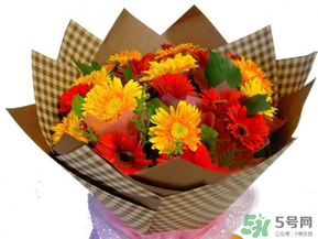 父親節(jié)可以送花嗎？父親節(jié)送什么花最合適？