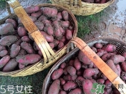 紅土豆是轉(zhuǎn)基因的嗎？紅土豆和正常土豆的區(qū)別