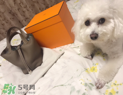 菜籃子包是什么牌子？菜籃子包是哪個品牌的？