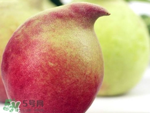 鷹嘴桃種植應(yīng)注意哪些？鷹嘴桃什么時間修剪