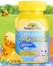 Nature's Way好嗎 Nature's Way保健品怎么樣？