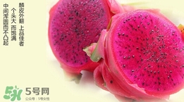 如何識(shí)別紅心火龍果？紅心火龍果怎么分辨