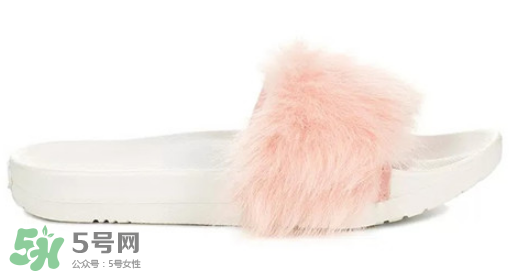 ugg royale小毛王拖鞋有哪幾種顏色？ugg小毛王拖鞋顏色有幾款？