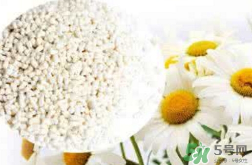 菊花晶是熱性還是涼性？菊花晶嬰兒可以喝嗎？