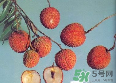 糯米糍荔枝產(chǎn)地是哪里？糯米糍荔枝上火嗎
