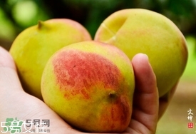 九仙桃什么時候成熟？九仙桃什么時候上市