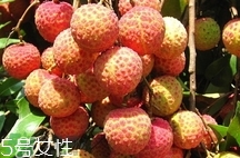 雞嘴荔枝多少錢一斤2017？香山雞嘴荔枝什么價錢