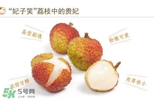 貴妃荔枝是哪里的？貴妃荔枝的產(chǎn)地是哪里