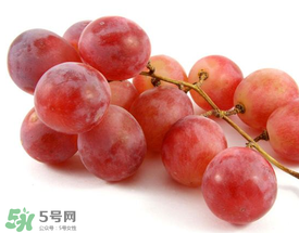 提子上的白色是什么？提子外面白色的是什么？