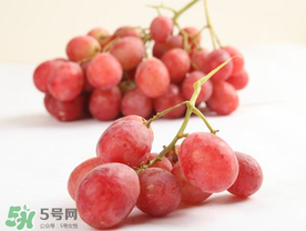 提子上的白色是什么？提子外面白色的是什么？