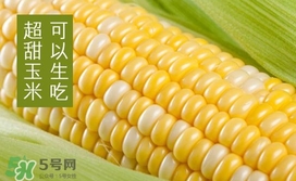 水果玉米是轉(zhuǎn)基因的嗎？水果玉米可以生吃嗎