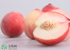 水蜜桃可以和酸奶一起吃嗎？水蜜桃酸奶的做法