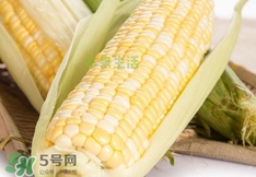 水果玉米多少錢一斤2017？水果玉米市場價格