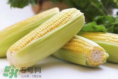 水果玉米可以多吃嗎？吃水果玉米有什么好處