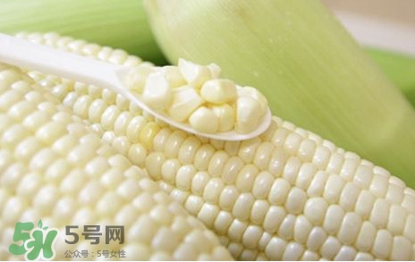 糯玉米是轉基因嗎？糯玉米是不是轉基因