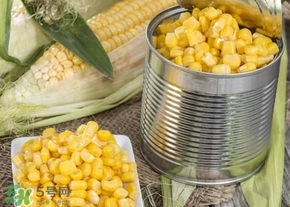 新鮮水果玉米怎么保存？水果玉米怎么儲存