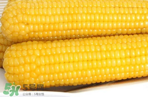 糯玉米是轉基因嗎？糯玉米是不是轉基因