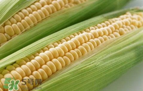 水果玉米熱量高嗎？一根水果玉米的熱量是多少