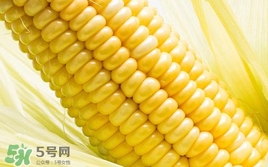 水果玉米是轉(zhuǎn)基因的嗎？水果玉米可以生吃嗎