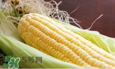 水果玉米可以多吃嗎？吃水果玉米有什么好處