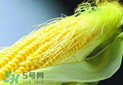 玉米須怎么吃降血糖？玉米須如何降血糖