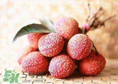 貴妃荔枝是哪里的？貴妃荔枝的產(chǎn)地是哪里