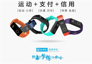 拉卡拉手環(huán)多少錢？拉卡拉手環(huán)價(jià)格