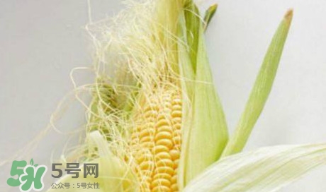 玉米須煮水可以去胎毒嗎？去胎毒玉米須水怎么煮