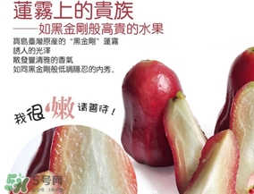 黑金剛蓮霧好吃嗎？黑金剛蓮霧多少錢一斤2017？