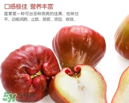 黑珍珠蓮霧多少錢一斤2017？黑珍珠蓮霧產地是哪里
