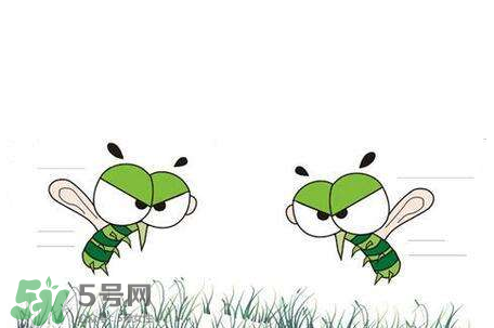 招蚊子是什么原因？招蚊子體質(zhì)怎么辦？