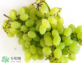 青提什么時(shí)候成熟？青提什么時(shí)候上市？